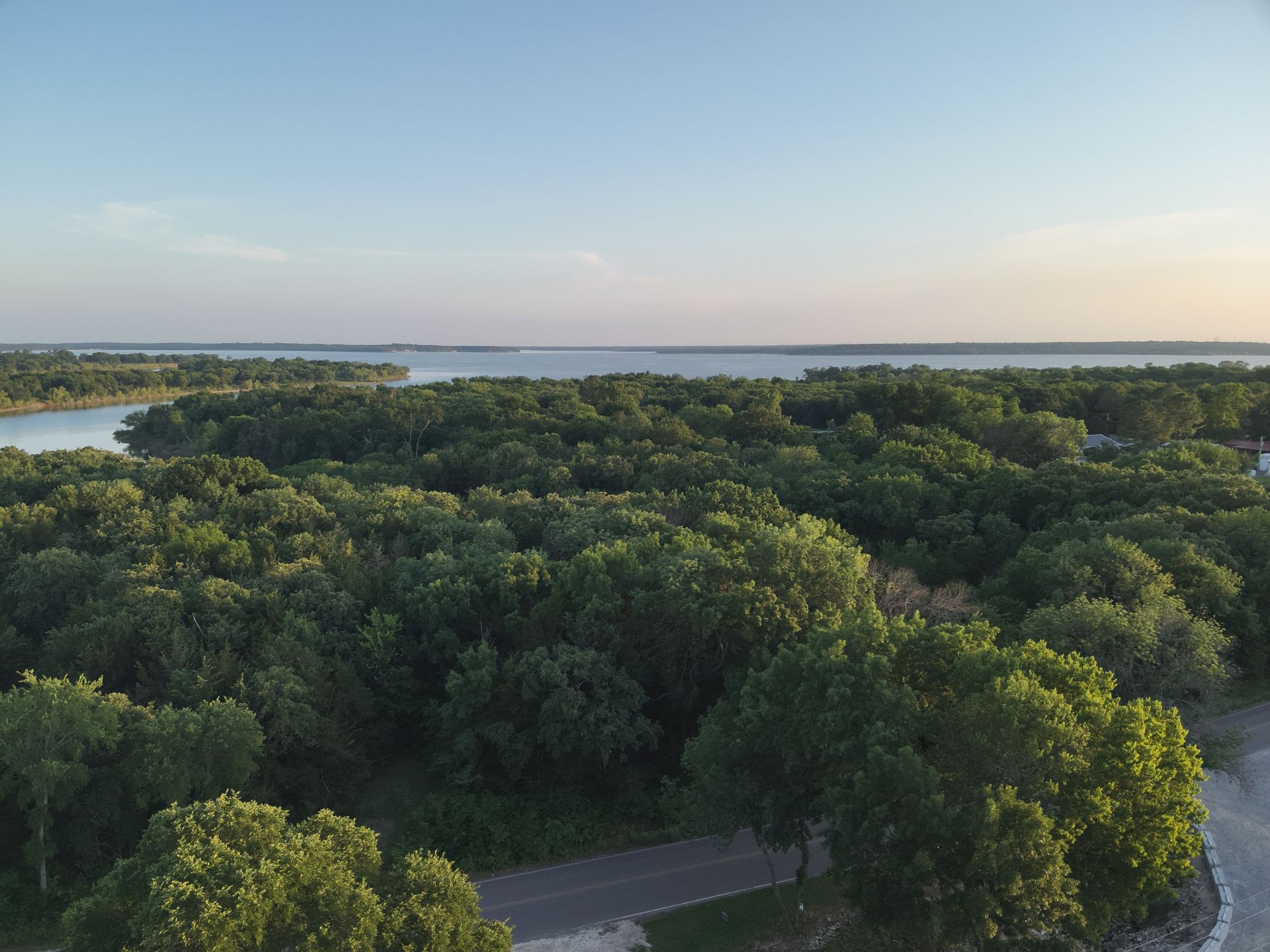 Aerial view of dense green forest beside a calm lake under a clear blue sky