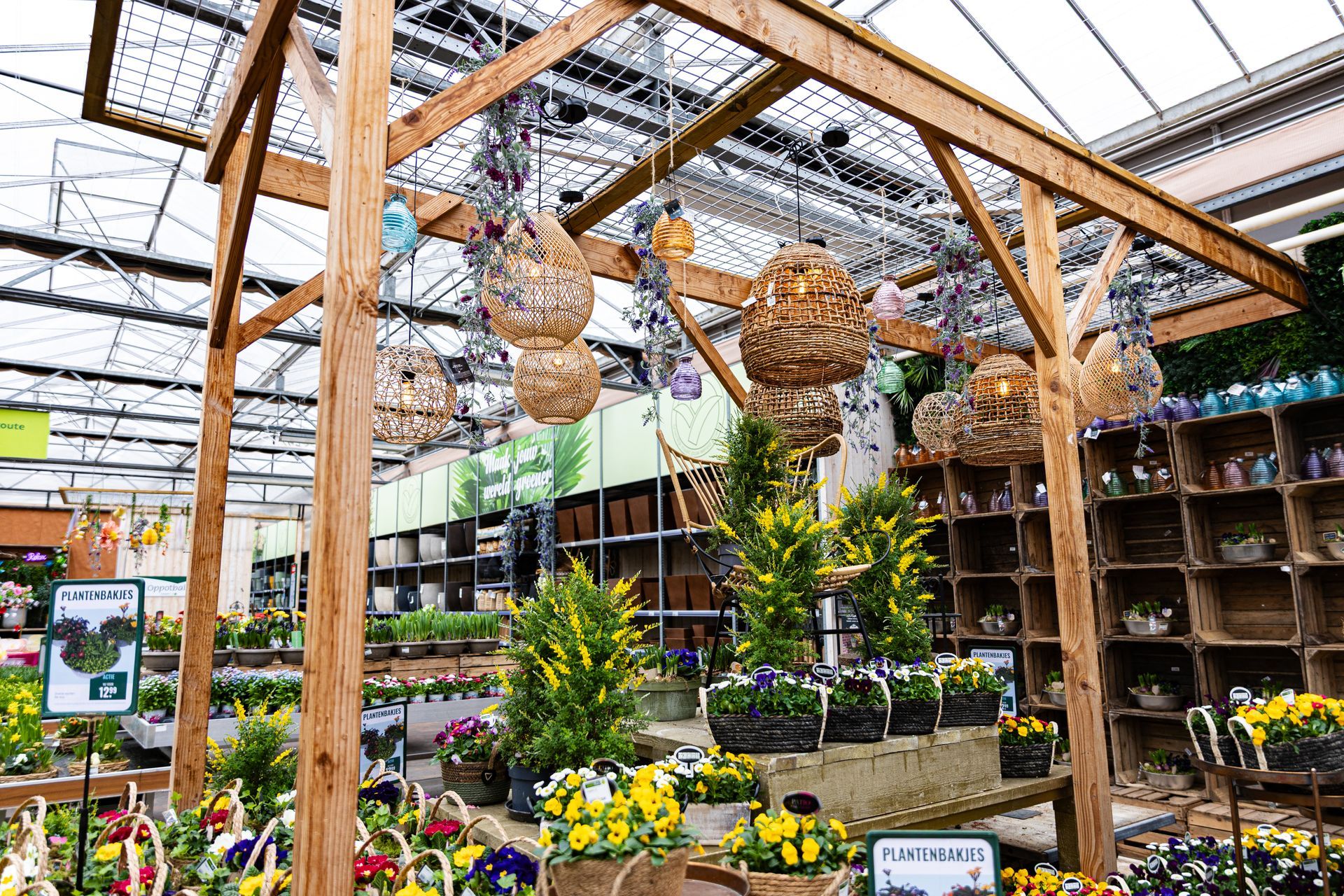 Binnen in een plantenwinkel met bloemen, hangmanden en houten displays.
