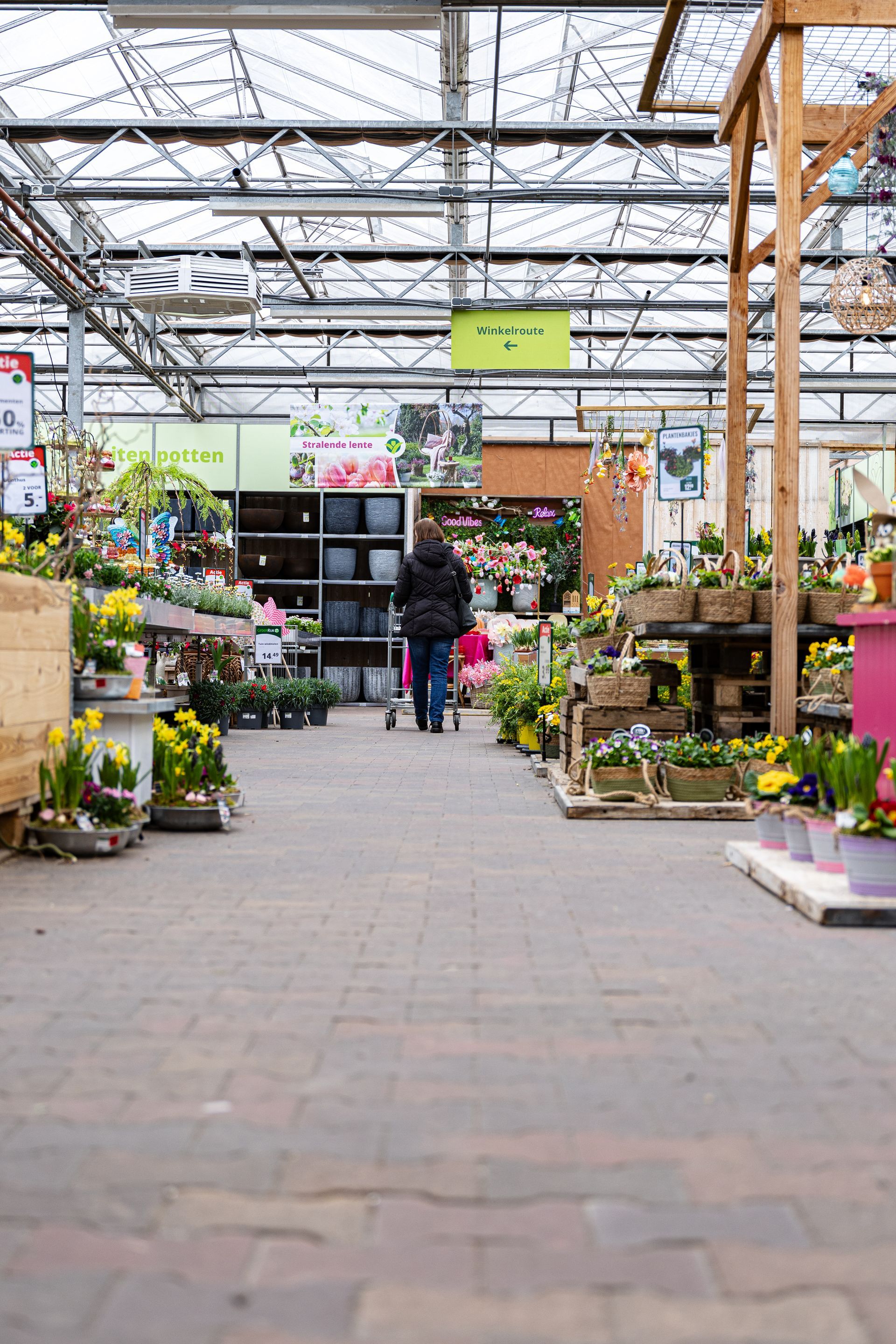 Een persoon loopt met een kar door een kas vol planten en bloemen.