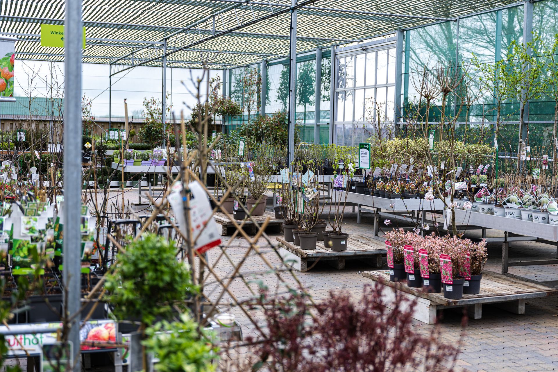 Binnenin een plantenkwekerij met rijen potplanten, onder een metalen dakconstructie.