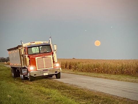 Red semi-truck driving on a rural road beside a cornfield at sunset or moonrise.