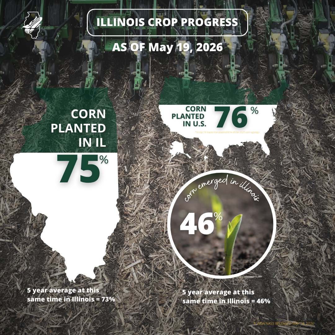 Illinois crop progress infographic showing corn planted and emerged percentages in white U.S. maps.