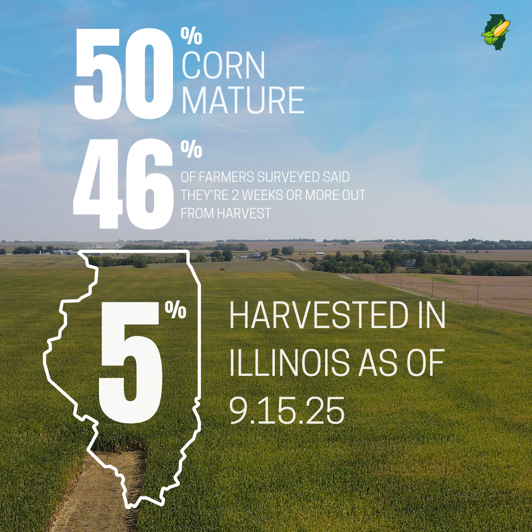 50% corn mature usda nass crop progress stats