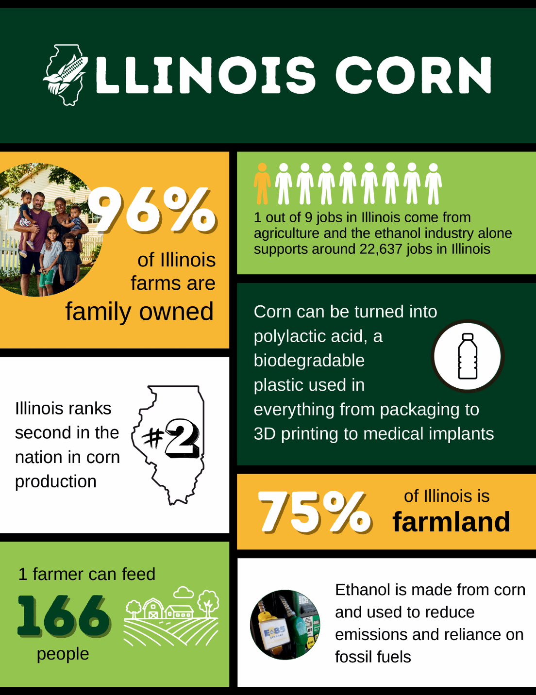 Illinois corn infographic with farm ownership, production rank, food use, and farmland facts
