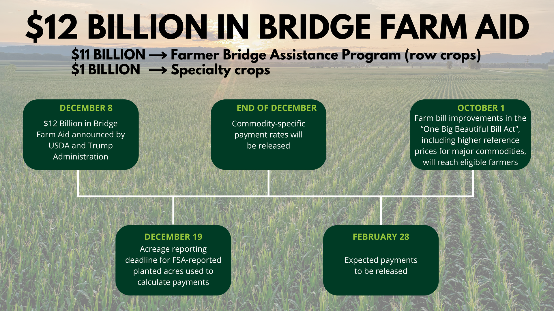Graphic shows $12 billion in farm aid. $11B to row crops, $1B to specialty crops, with related program details.