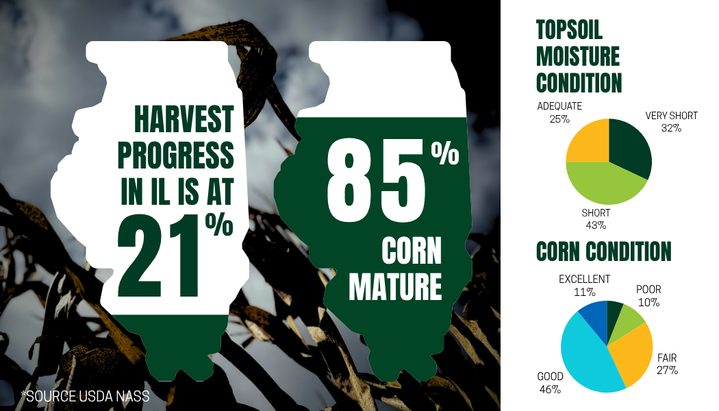crop progress and quality from nass