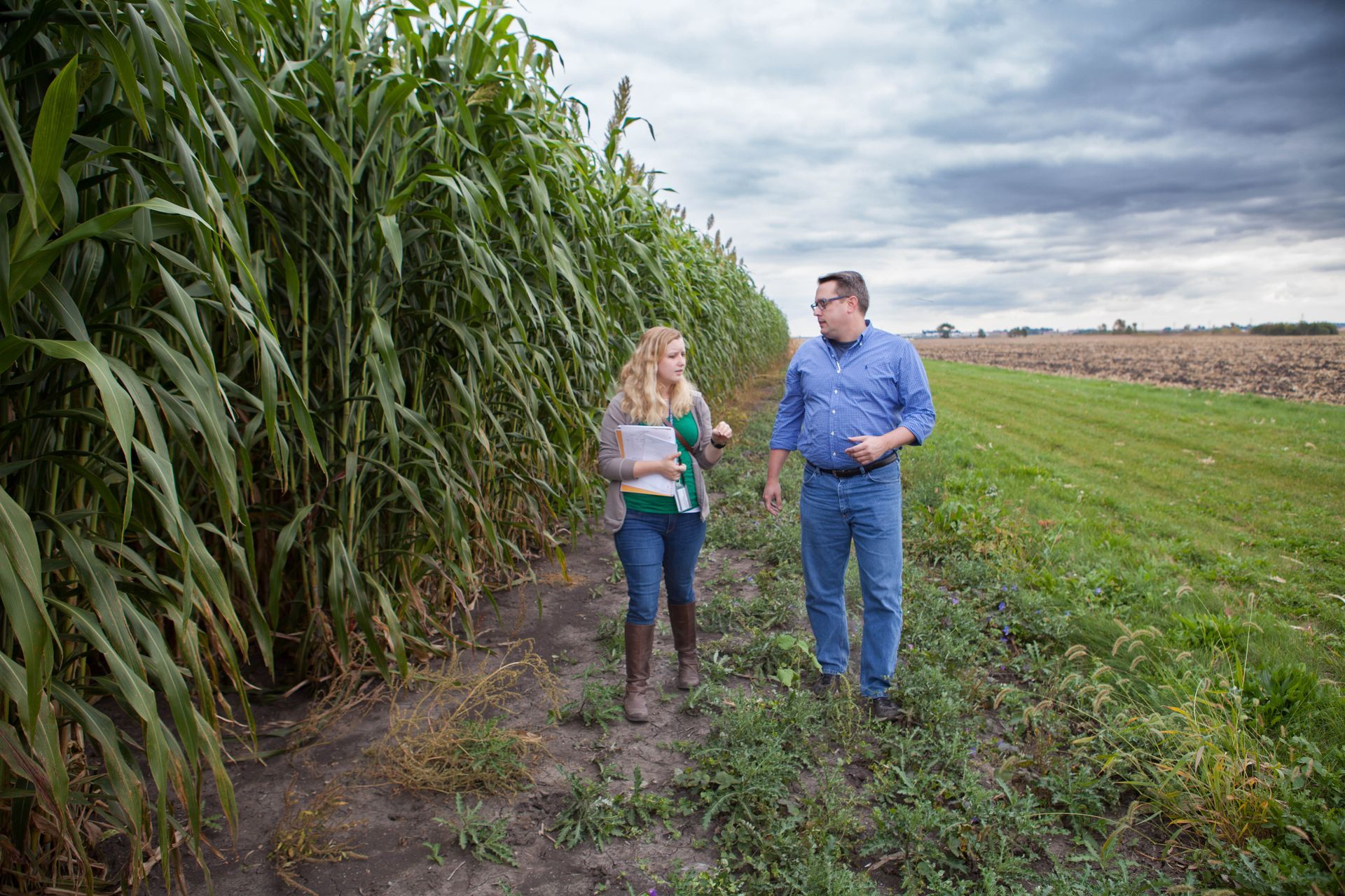 Two people walking along a field, tall green plants to the left, harvested field on the right, cloudy sky.