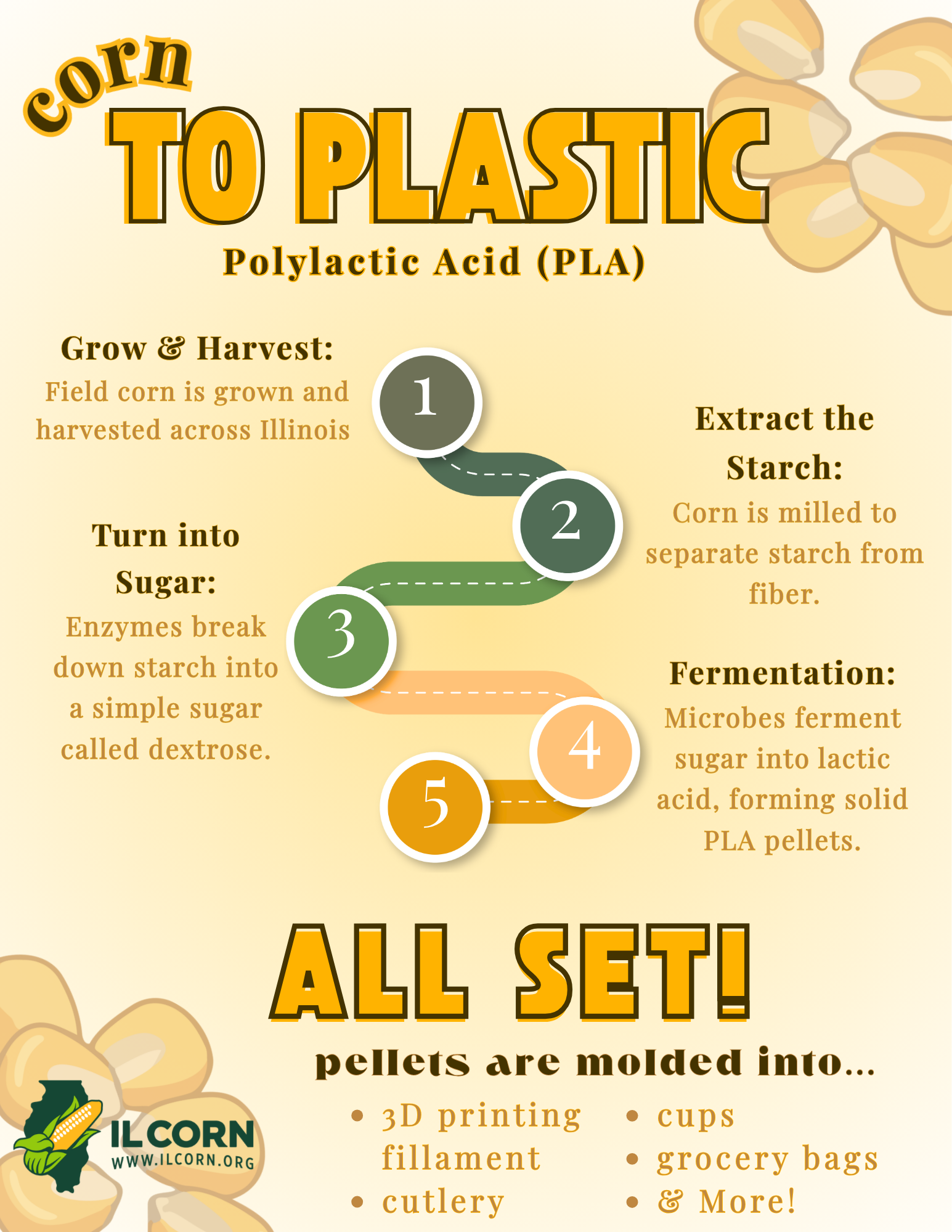 Infographic on corn to plastic (PLA) process: corn harvested, sugar extracted, fermented, turned into PLA pellets.