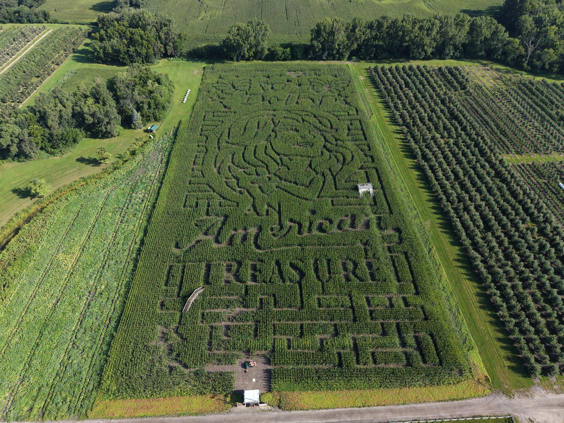 Dolly Parton Maze from All Seasons Orchard