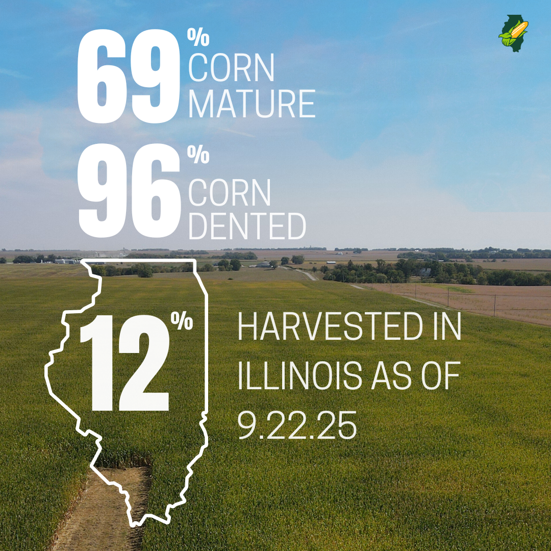 69% corn mature usda nass