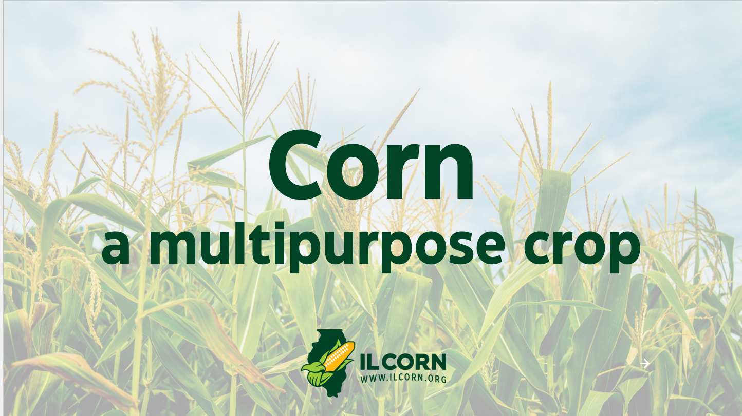 Corn, a multipurpose crop, over a cornfield with the IL Corn logo