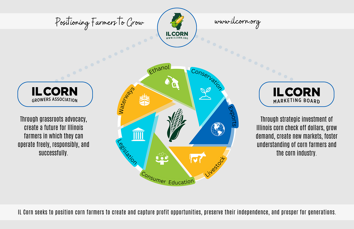 A diagram showing the difference between ilcorn and ilcorn.