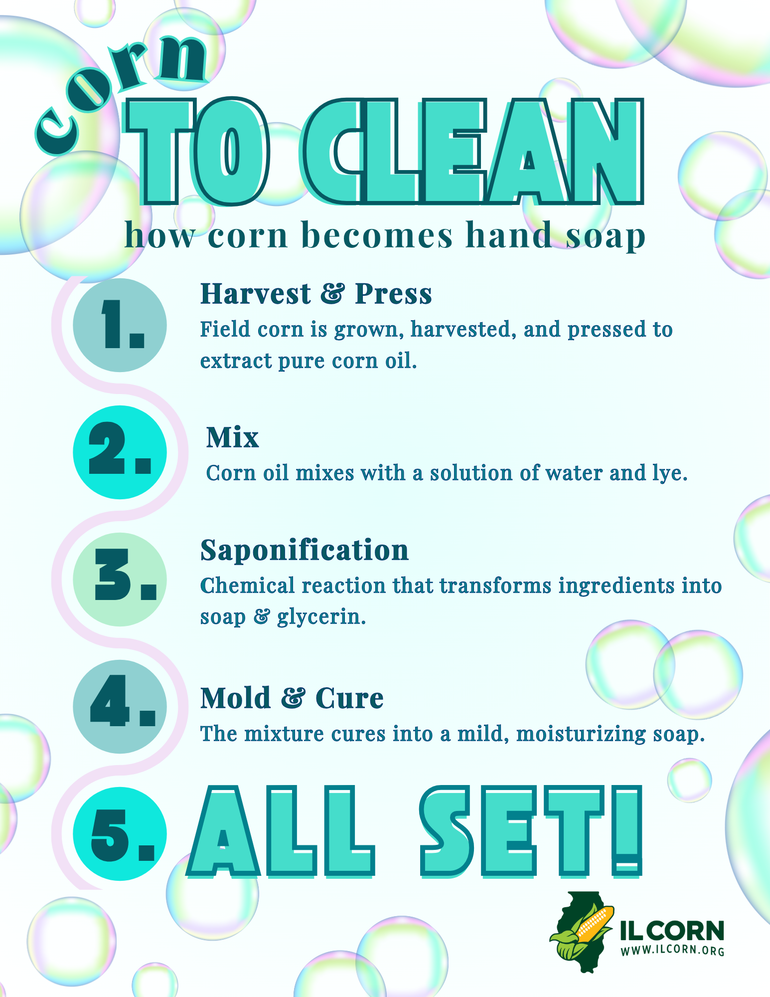 Corn to clean infographic with 5 teal steps for making hand soap, on a bubble background