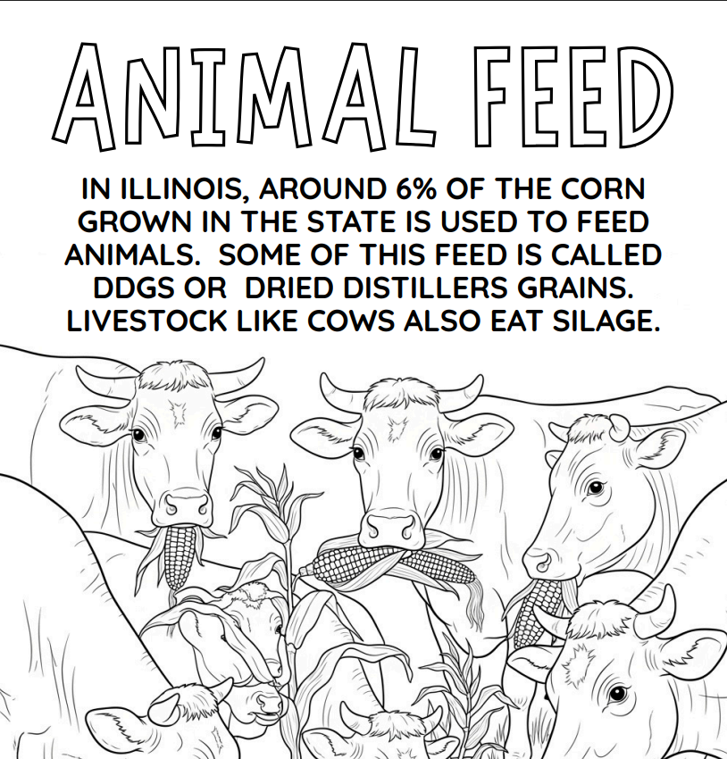 Black-and-white coloring sheet titled “Animal Feed” showing livestock and corn, ddgs, dried distillers grains, and silage.