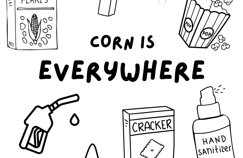 Coloring page reading “Corn is everywhere” with corn in snack, drink, and sanitizer items.