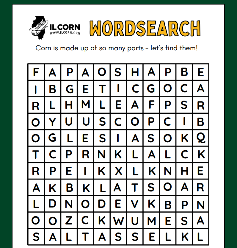Corn wordsearch puzzle with a corn logo and rows of letter grid on a white page.