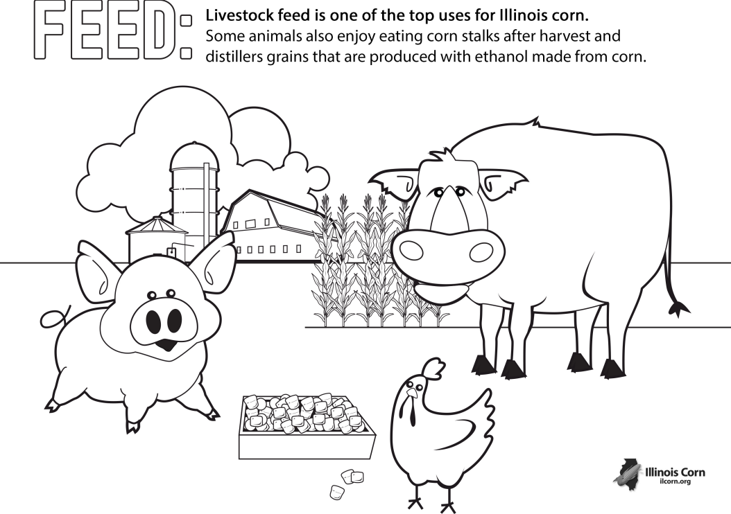 Cartoon farm scene with a pig, cow, chicken, and barn; “FEED” title at top.