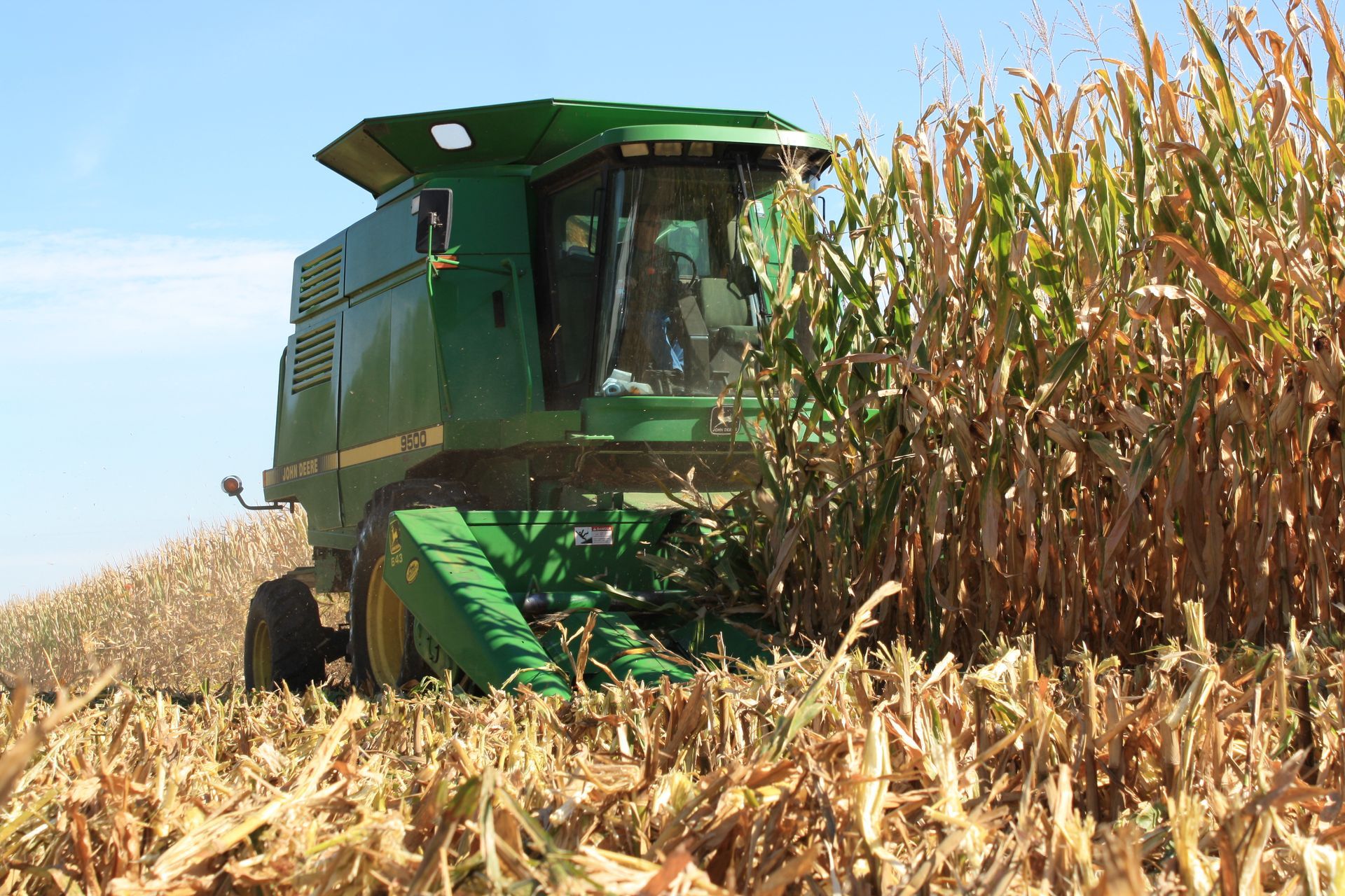 Green combine harvester cutting corn in a dry field under a clear blue sky