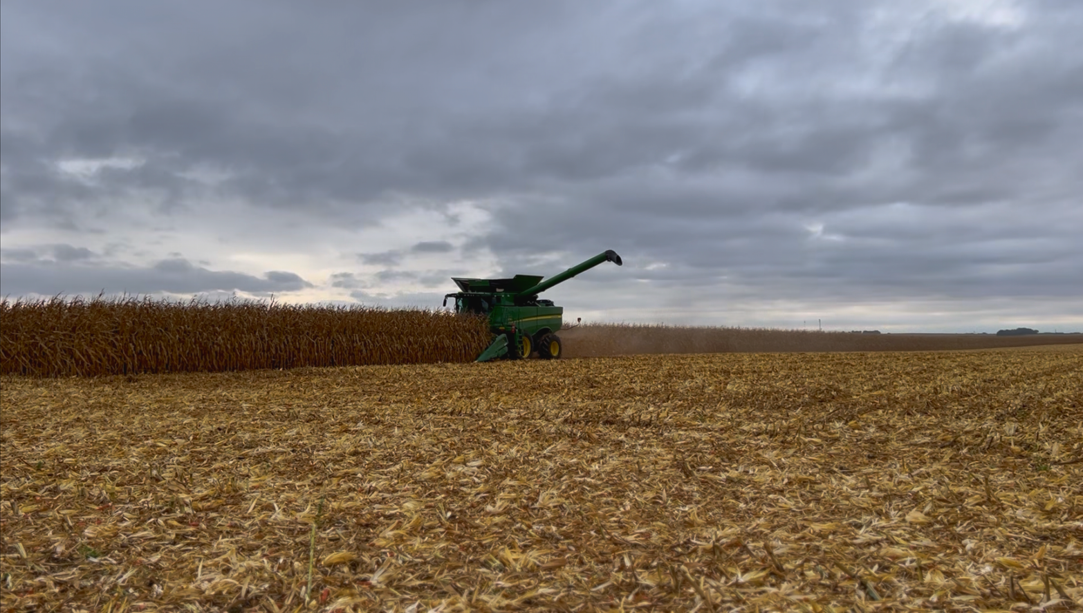 Green combine harvester in a harvested field under a cloudy sky