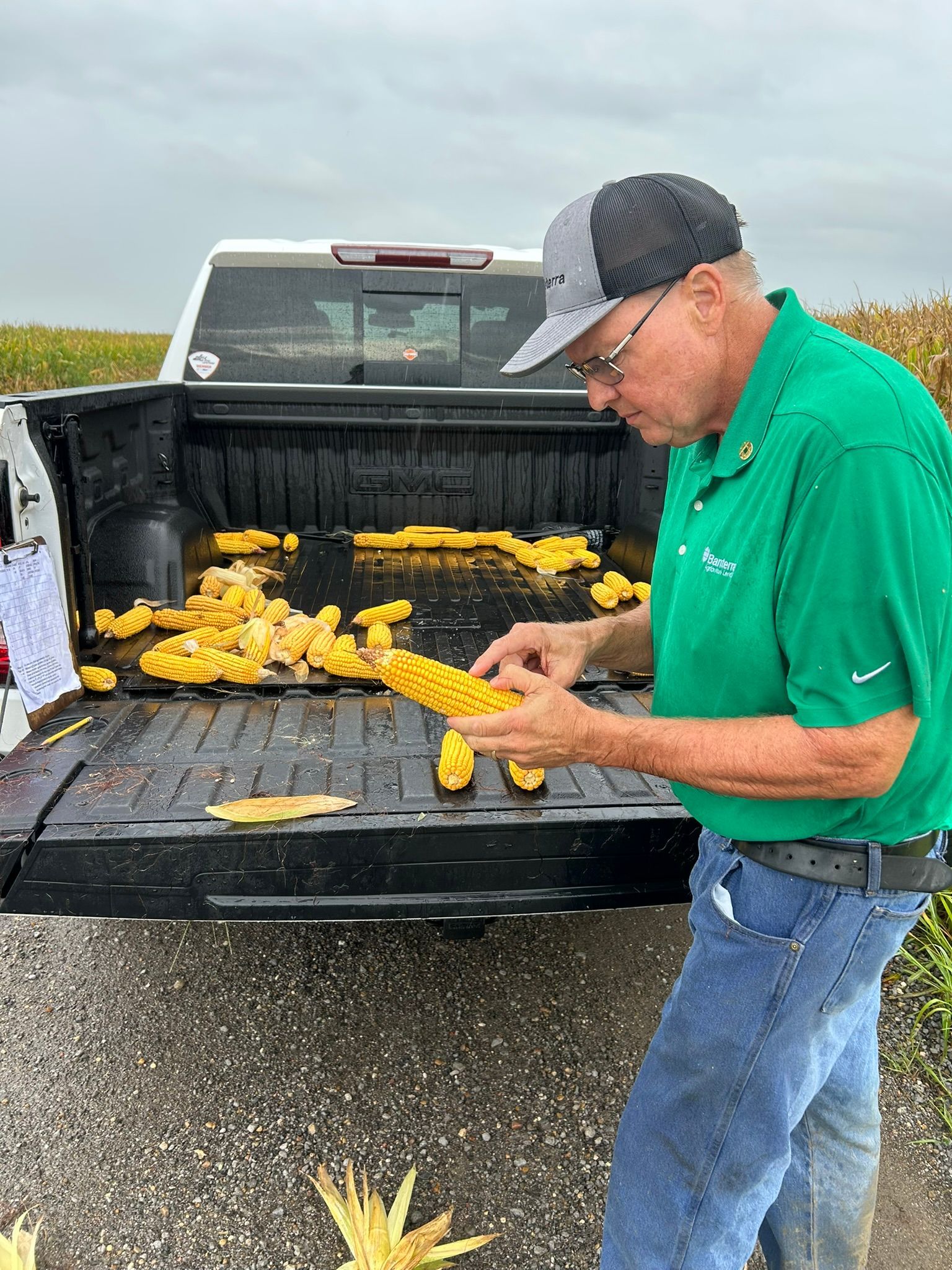 100 corn samples in Southeast Illinois