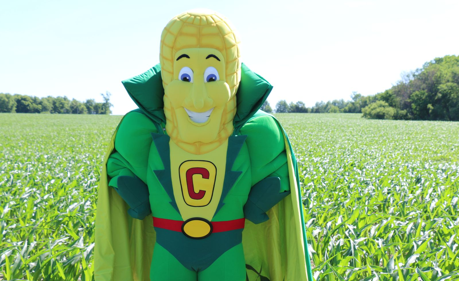 Captain Cornelious standing in a sunny cornfield