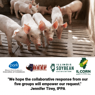 Pigs in a pen with logos of agriculture associations, text: 