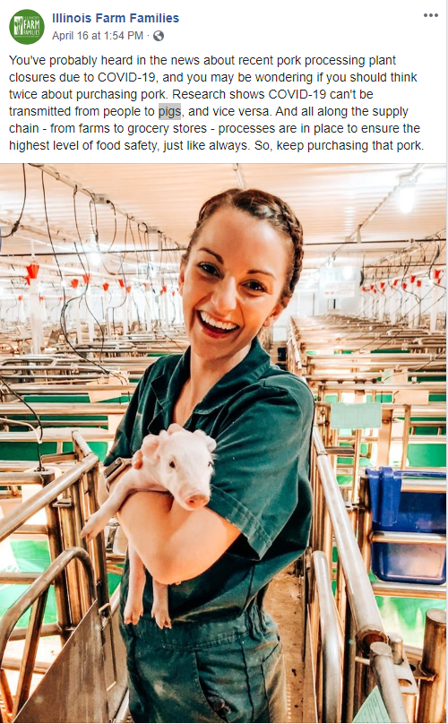 A woman is holding a small pig in her arms in a pen.