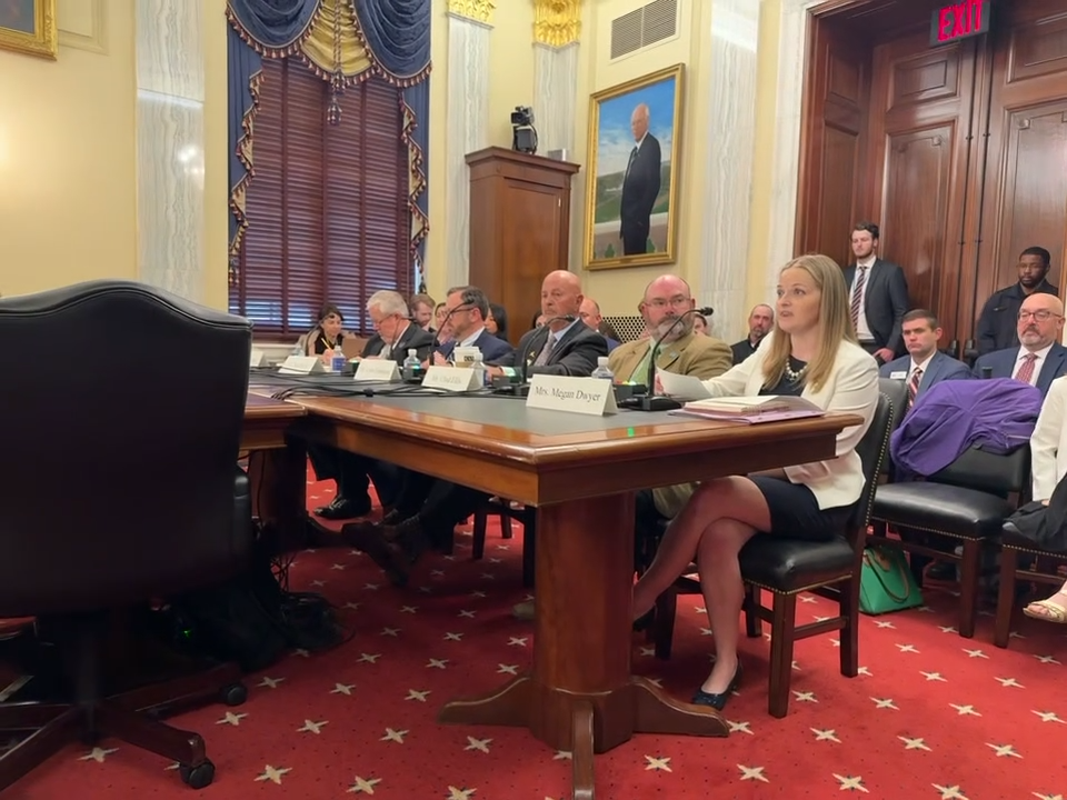 Megan in DC testifying