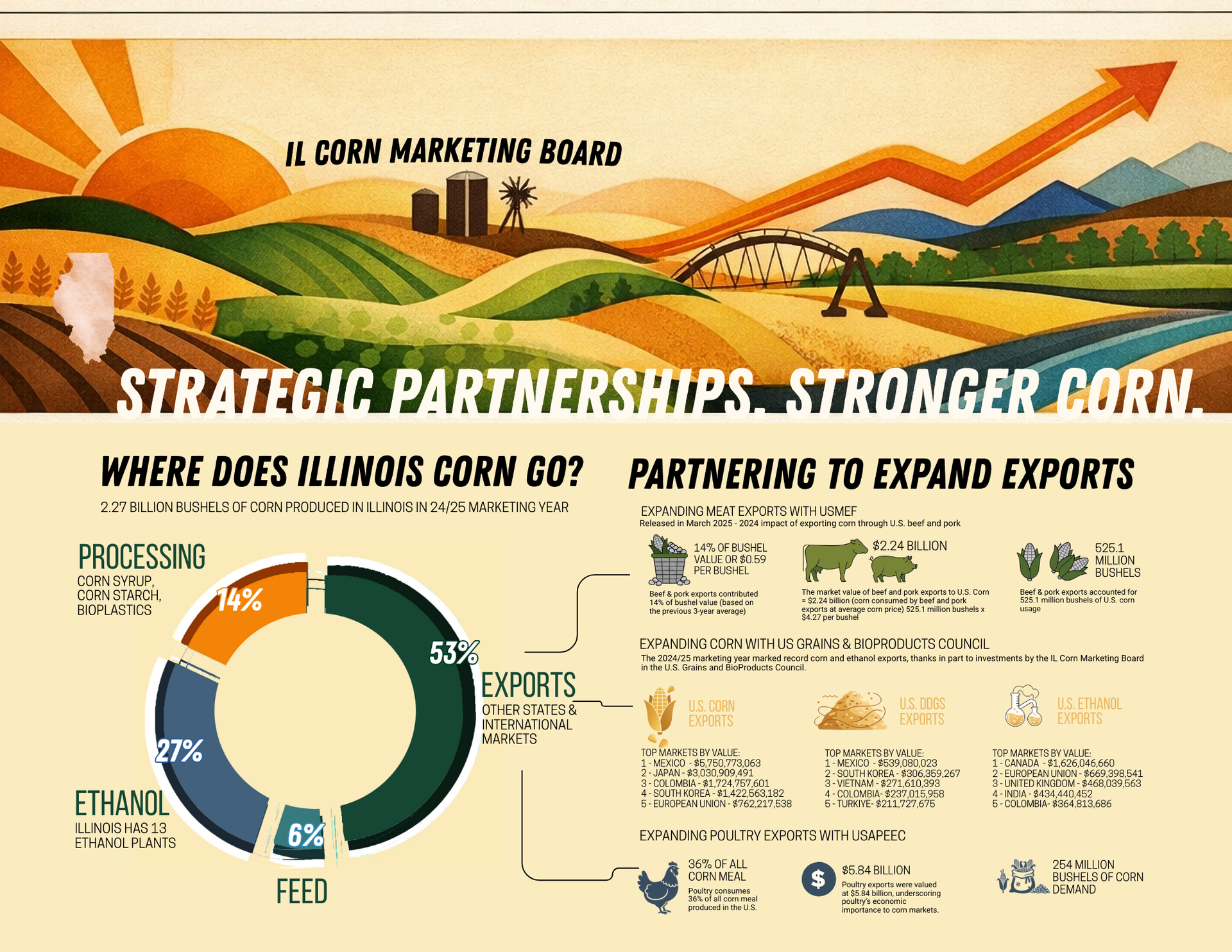 graphic of where IL Corn goes