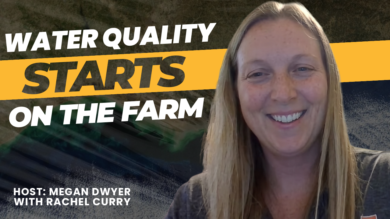 Rachel Curry on IL Corn TV