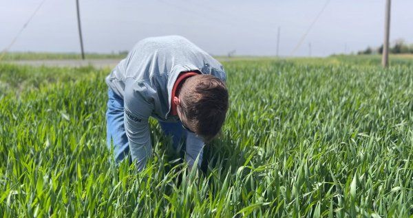 A man is standing in the middle of a grassy field.