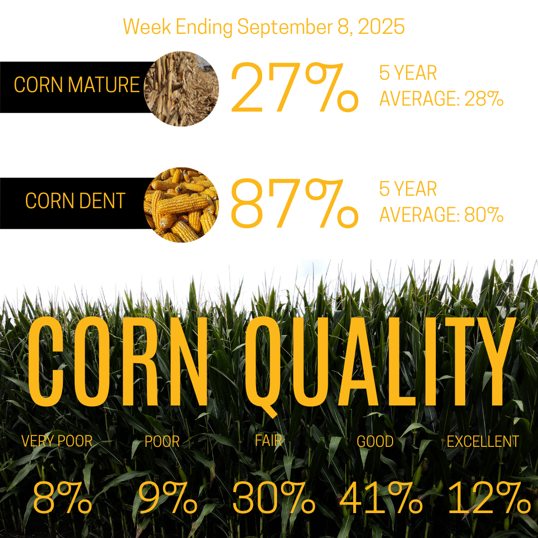 september 8, 2025 crop quality and crop progress