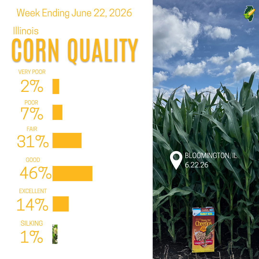 crop quality as of week ending june 22