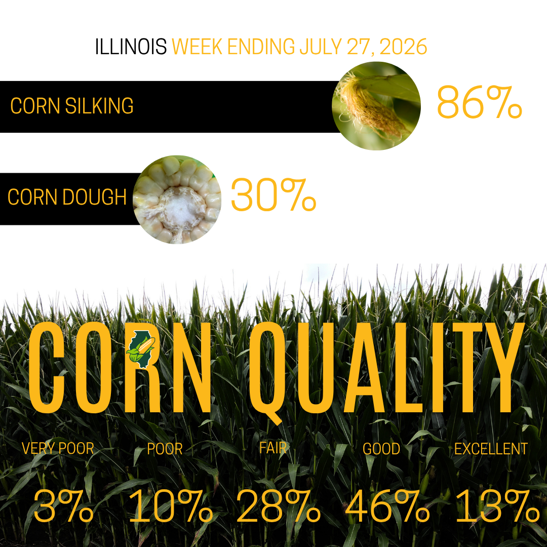 corn silking in illinois as of july 27