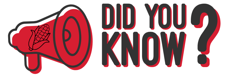 did you know icon