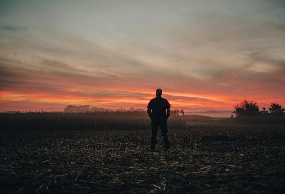 sunset on the farm