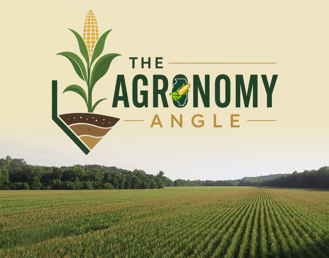 agronomy angle