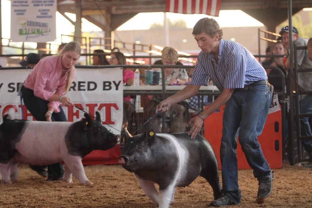 wyatt with hog