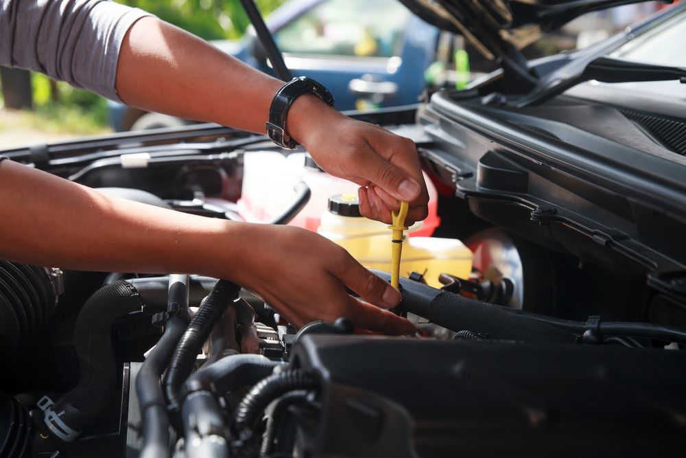 Person Checking Car Engine Oil with A Dipstick in An Outdoor Setting — Erina Mechanical Repairs In Erina, NSW