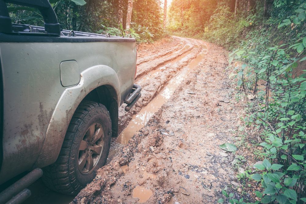 Truck Stuck in Muddy Forest Road, with Sunlight Shining Through the Trees — Erina Mechanical Repairs In Erina, NSW