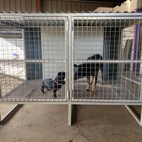 Dog Cage — Steel Fabricators in Dubbo, NSW Dog Cage — Steel Fabricators in Dubbo, NSW