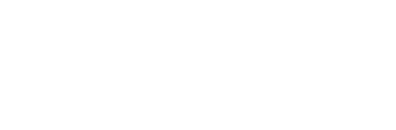 Partner Logo Name