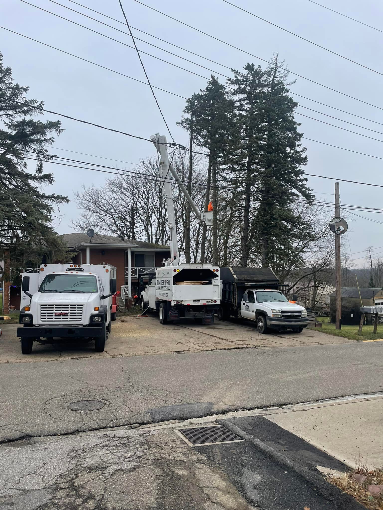 Timber Pros Tree Service Top Tree Services in Ohio Valley | Timber Pro