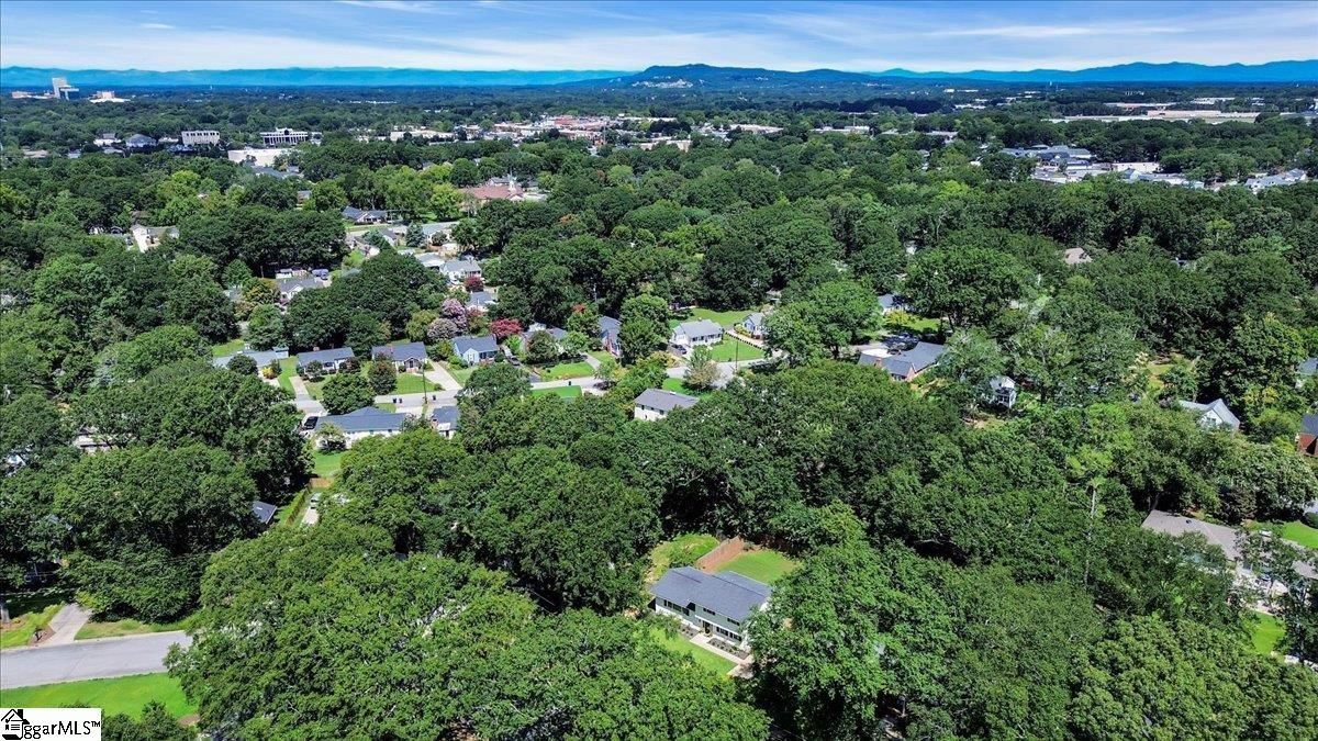 Aerial view of a leafy suburban neighborhood with houses, trees, and a distant blue horizon