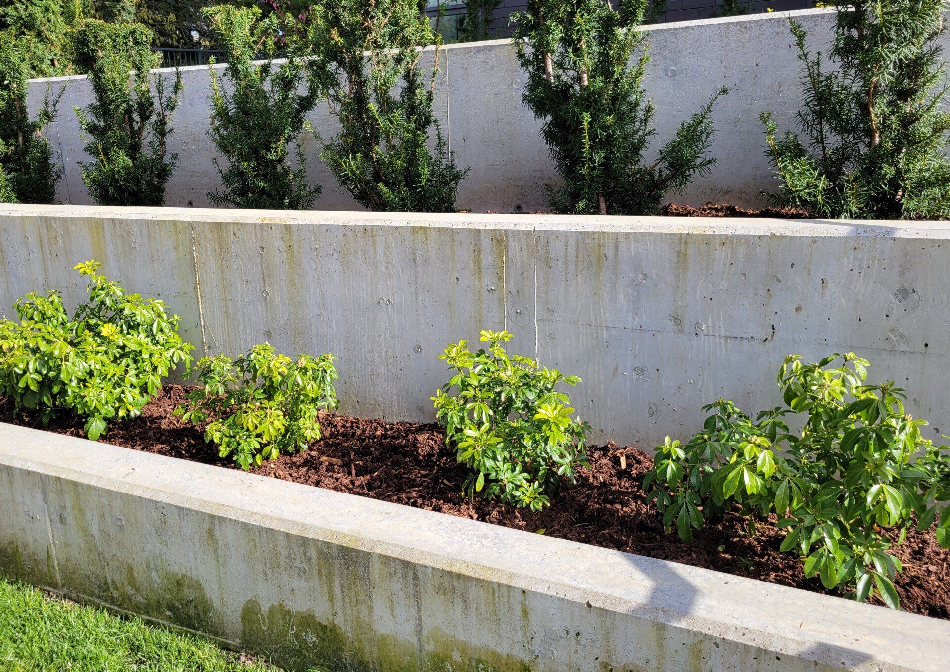 Nanaimo Retaining Wall Pros builds all sizes of formed Concrete Retaining Walls.