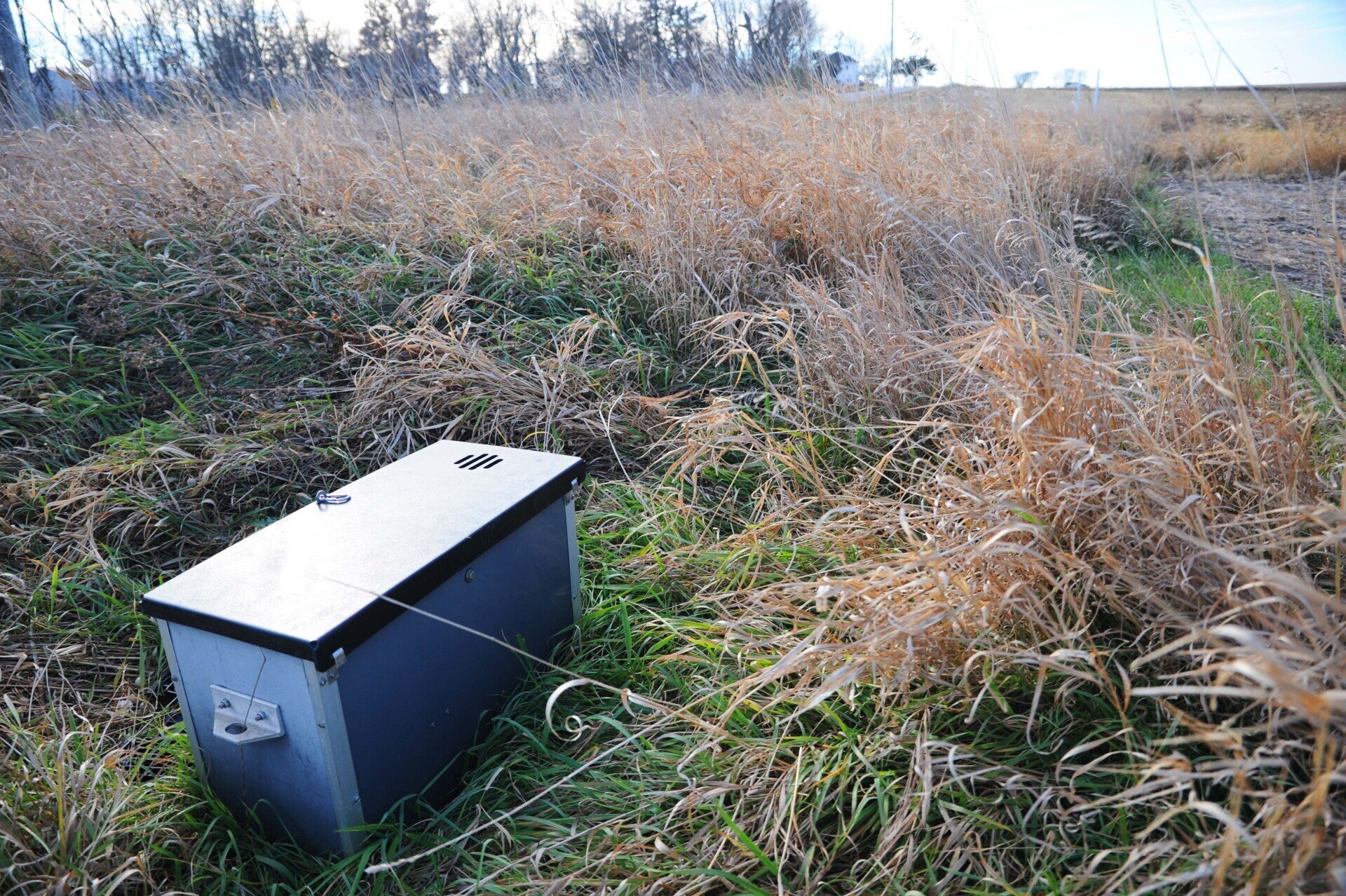 Saturated Bufferbox Conservation Agronomy