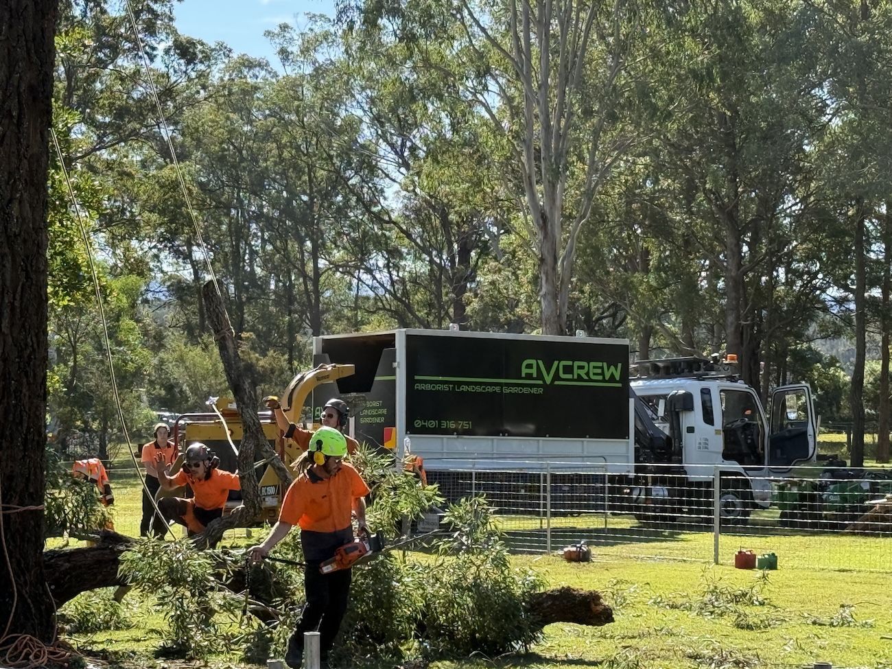 A Garbage Truck Is Being Used To Remove A Tree — Alex's Vegetation in Laurieton, NSW