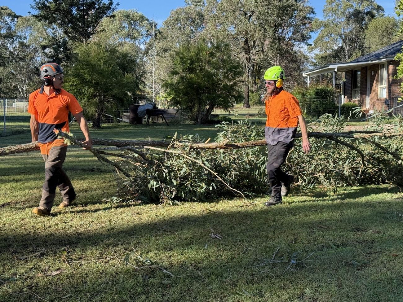 A Man Is Cutting Trees In A Field — Alex's Vegetation in Laurieton, NSW