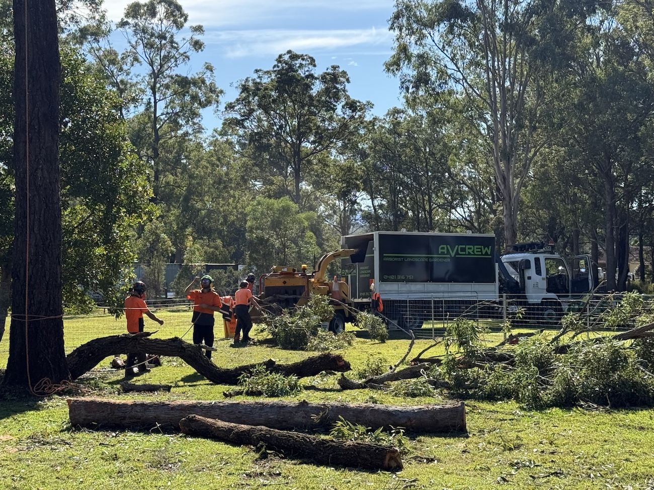 A Man In An Orange Shirt Is Standing In The Middle Of A Forest — Alex's Vegetation in Laurieton, NSW