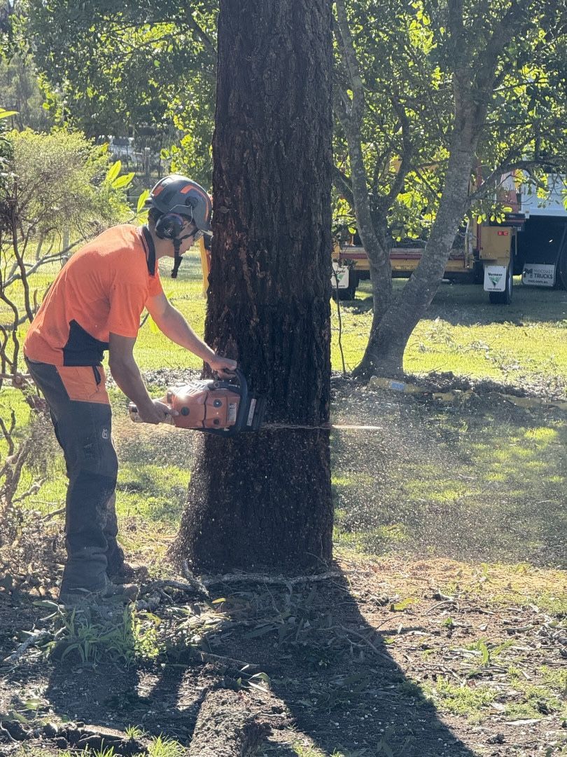 A Close-up View of a Yellow Stump Grinder Cutting Into a Large Tree Stump — Alex's Vegetation in Port Macquarie, NSW